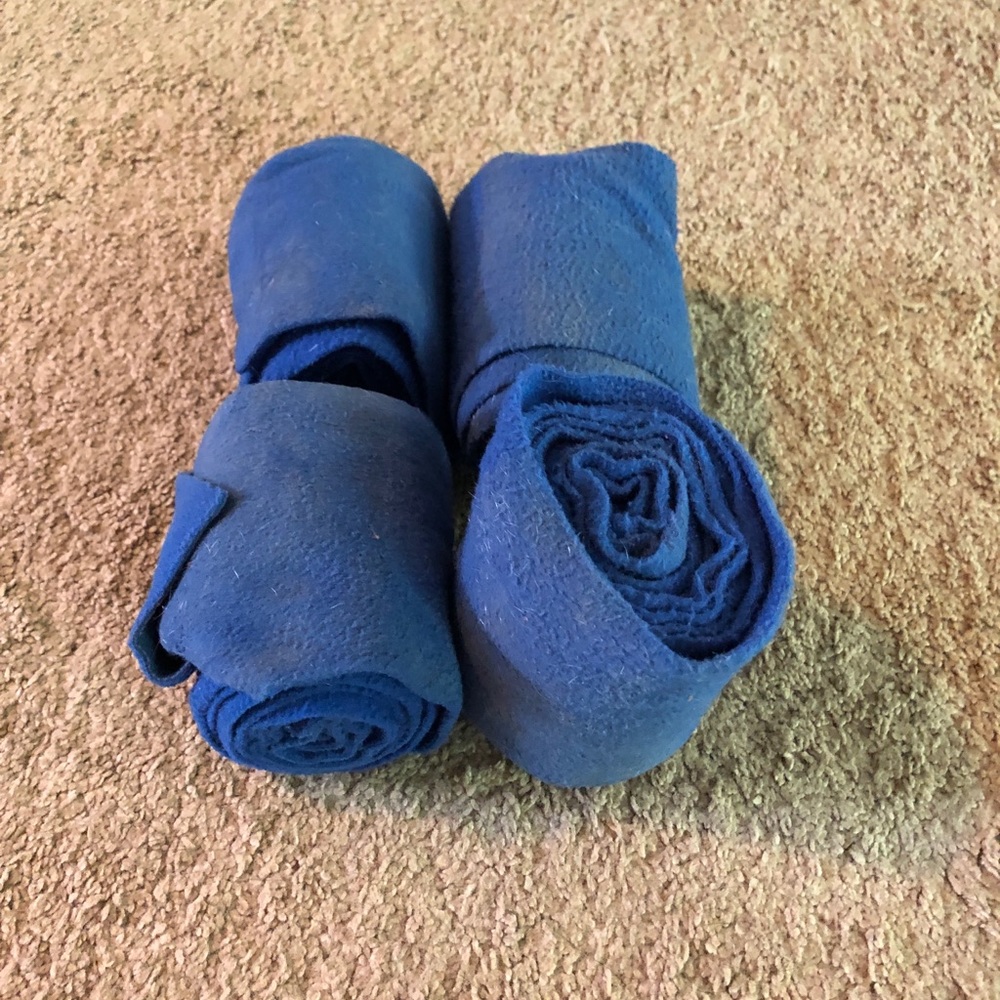 Blue horse polo wraps